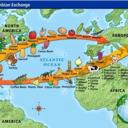 The columbian exchange worksheet answer key