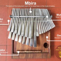 What musicians pluck on an mbira