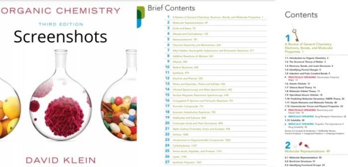 Organic chemistry by david klein 3rd edition