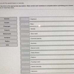 Appropriate statements matching transcribed