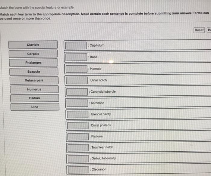 Appropriate statements matching transcribed