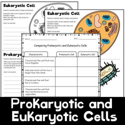 Prokaryotic and eukaryotic cells worksheet answer key pdf